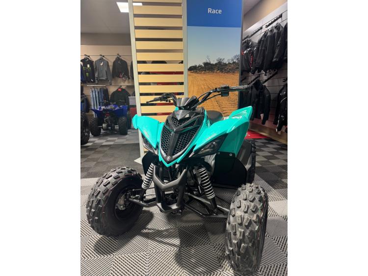 YAMAHA YFM 110 RAPTOR
